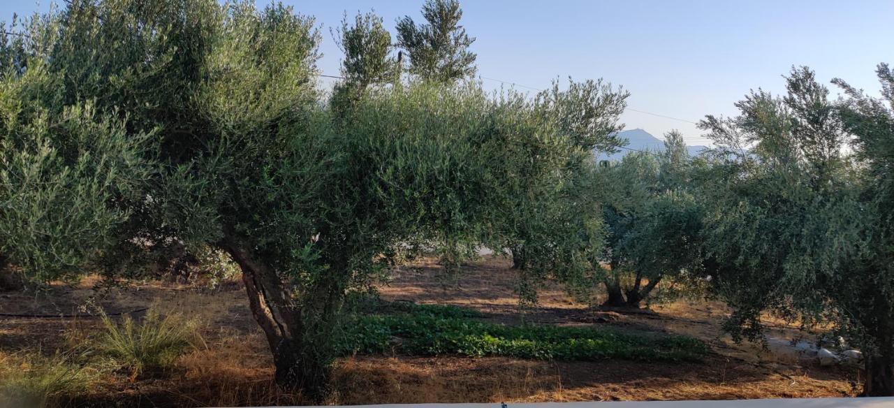 Villa Deltus - Cozy In South Crete